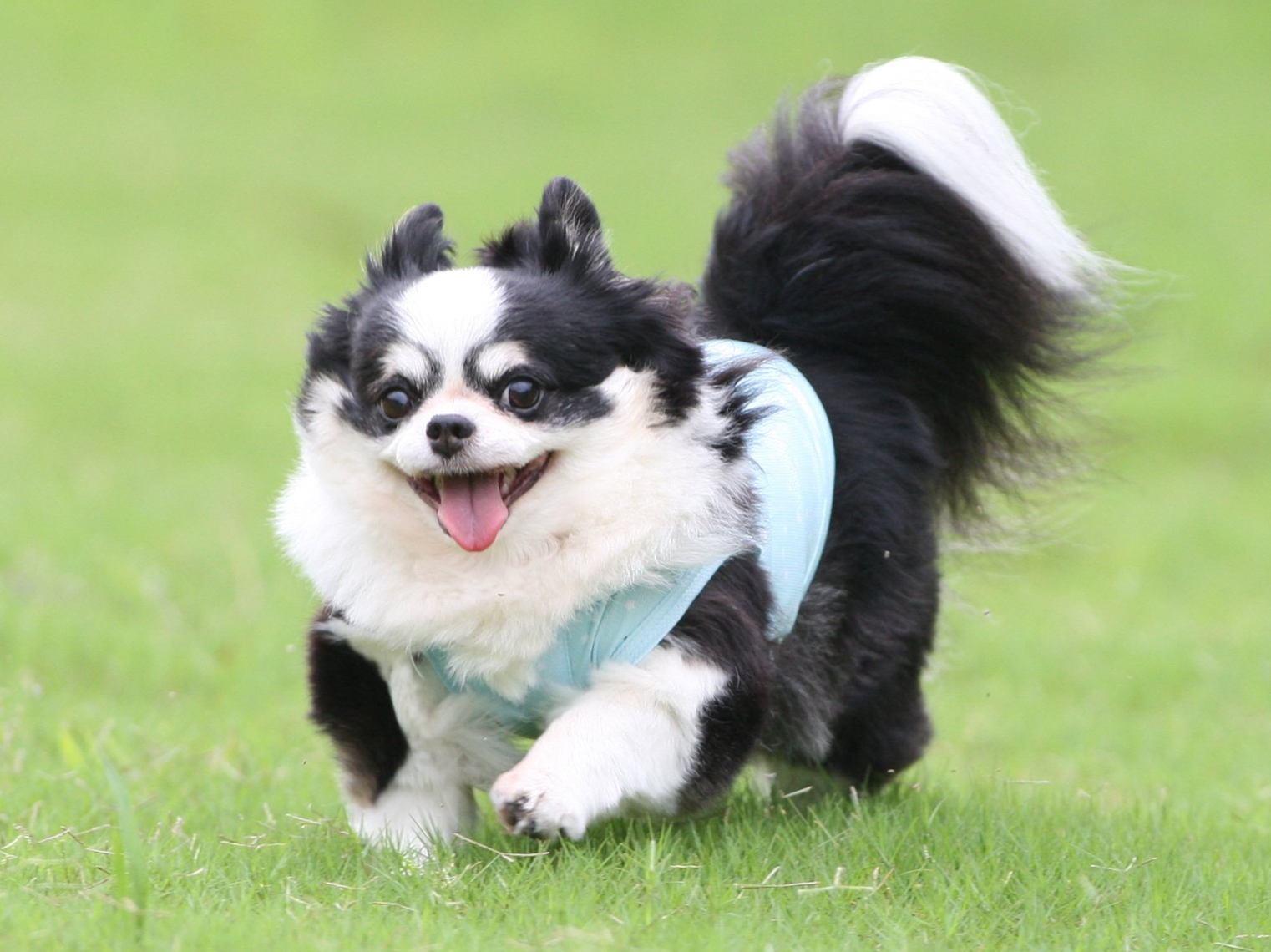 img20250923161242286085.png