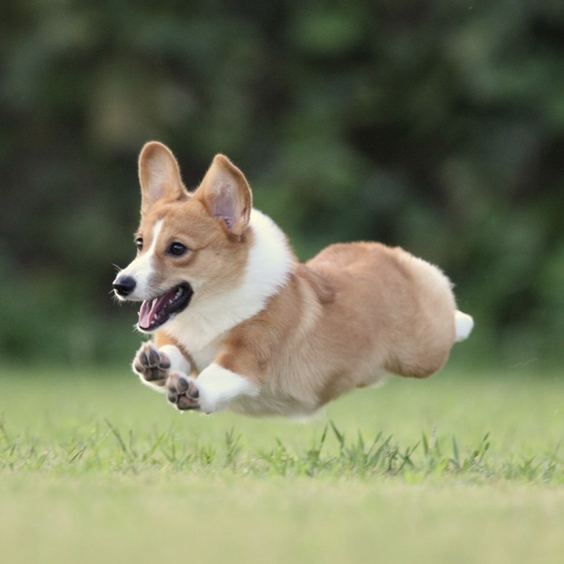 img20250923161241850650.png