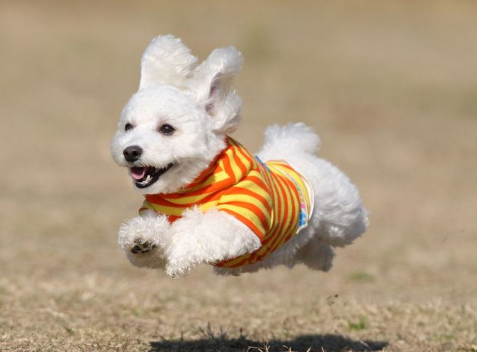 img20250923161241790316.png