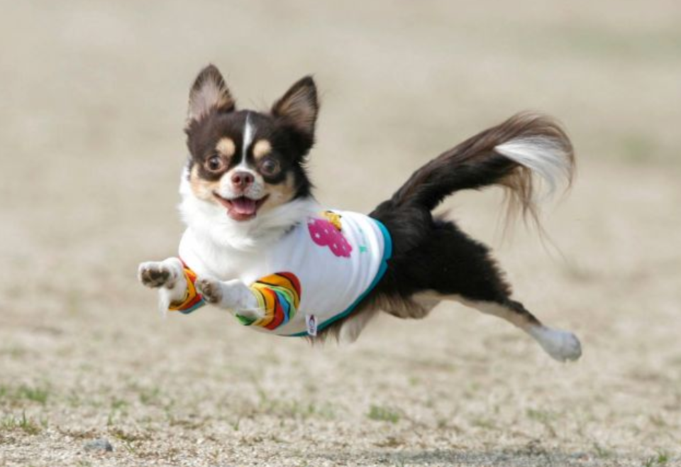 img20250923161241791691.png